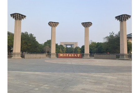 湖北中医药大学