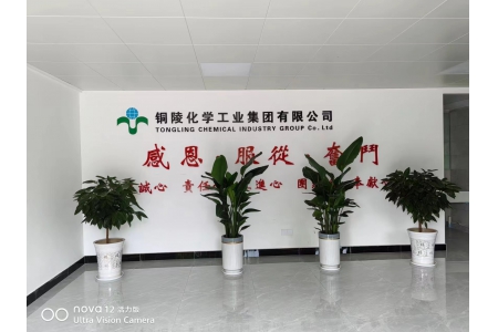 铜陵化学工业集团有限公司