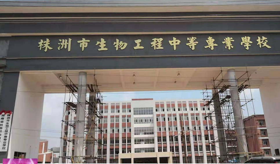 案例002(图1)