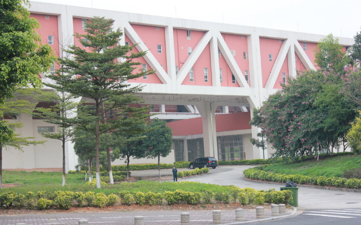 案例展示二(图1)