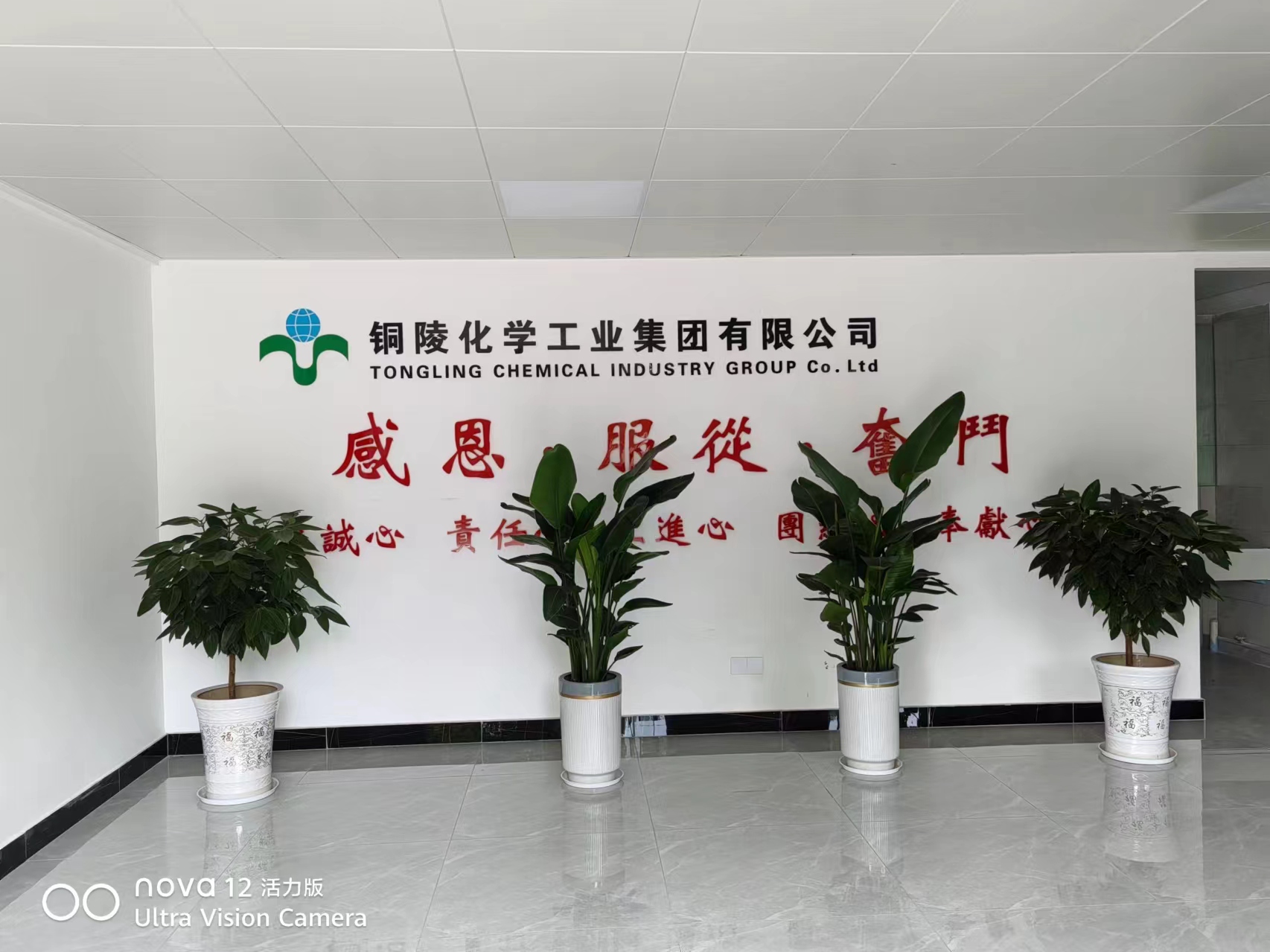 铜陵化学工业集团有限公司(图1)